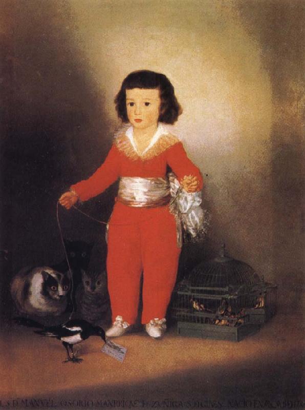 Francisco Jose de Goya Don Manuel Osorio Manrique oil painting image